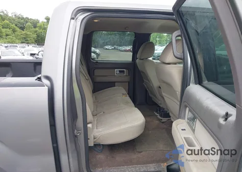 2010 Ford F-150 Xl/Xlt z USA, uszkodzony, nr VIN 1FTEW1E89AFA29293